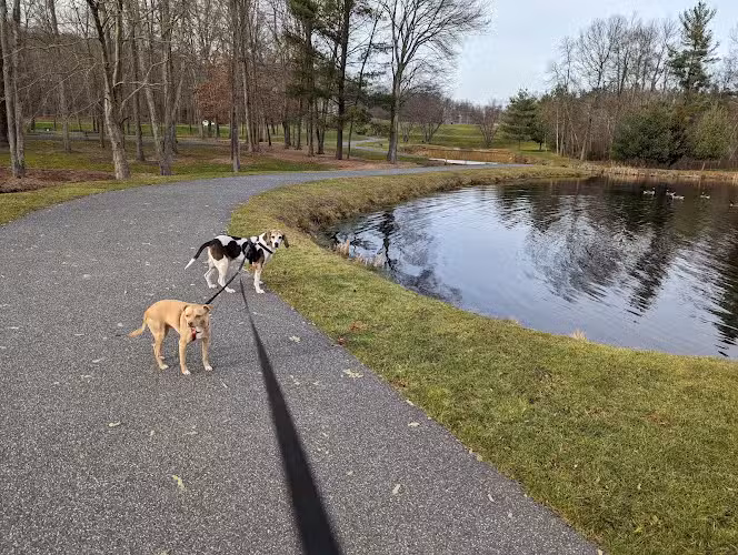 Meadowview Park - Middlebury, CT