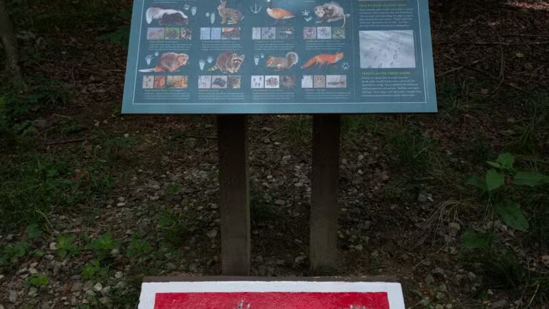 Hop Brook Lake - Middlebury, CT