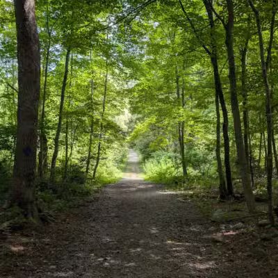 Hop Brook Lake - Middlebury, CT
