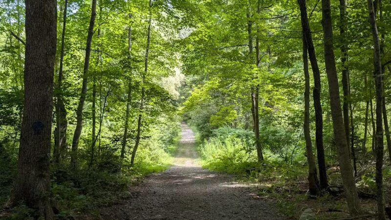 Hop Brook Lake - Middlebury, CT