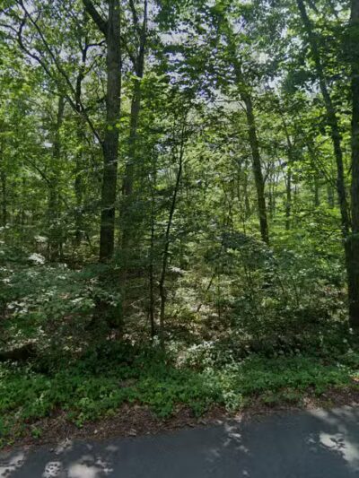 Barett Reservation - Middleton, MA