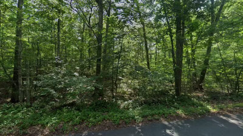 Barett Reservation - Middleton, MA