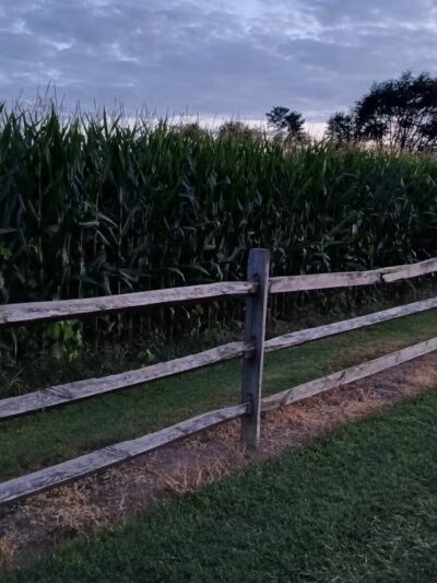 Charles E. Price Memorial Park - Middletown, DE