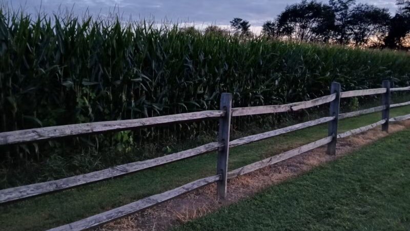 Charles E. Price Memorial Park - Middletown, DE