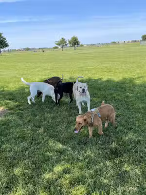 Charles E. Price Memorial Park - Middletown, DE