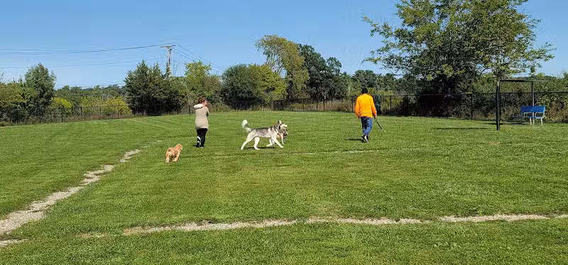 Maple Hill Dog Park - Middletown, NY