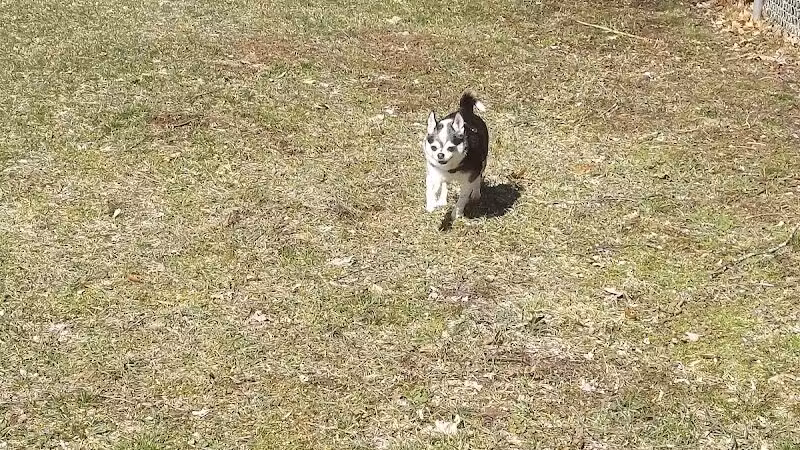 Middleville Bark Park Dog Park - Middleville, MI