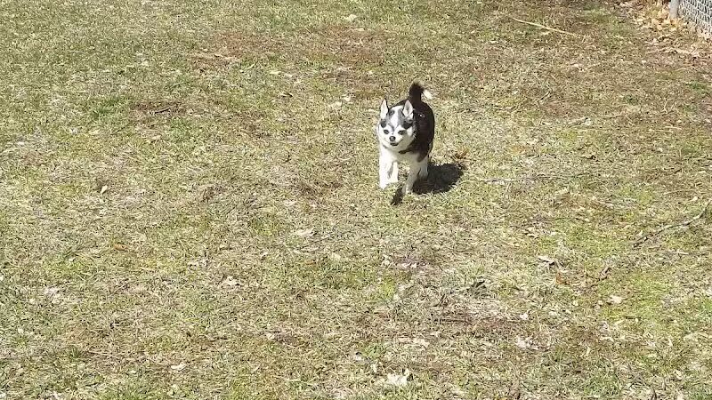 Middleville Bark Park Dog Park - Middleville, MI