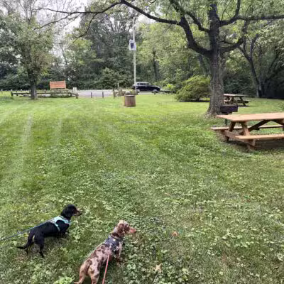 John Marshall Birthplace Park - Midland, VA