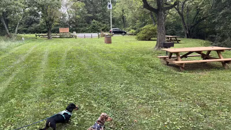 John Marshall Birthplace Park - Midland, VA