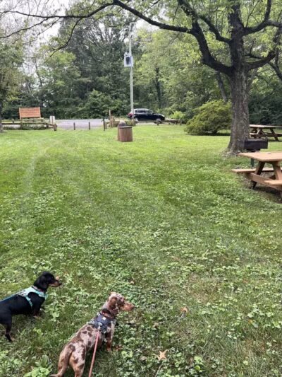 John Marshall Birthplace Park - Midland, VA