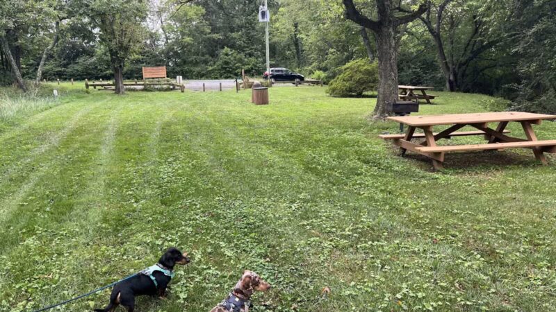 John Marshall Birthplace Park - Midland, VA