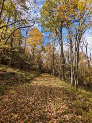 Trail Parking - Savage River State Forest - Outer Loop - Midland, MD