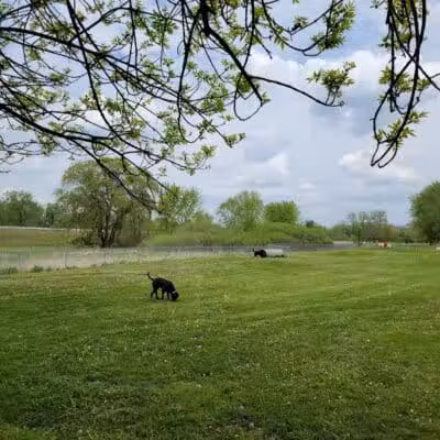 Midland Dog Park - Midland, MI