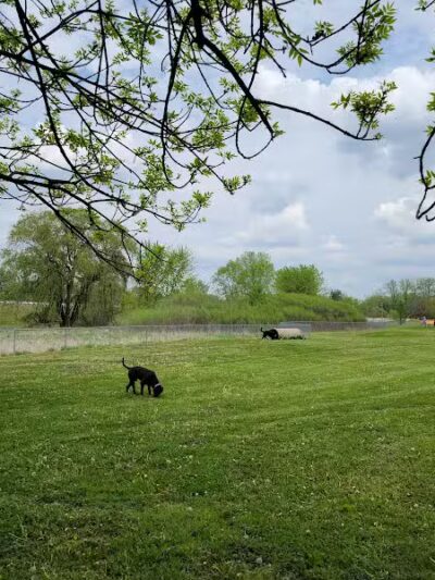 Midland Dog Park - Midland, MI