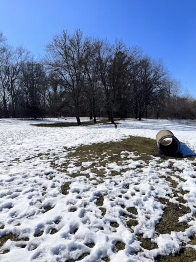 Midland Dog Park - Midland, MI