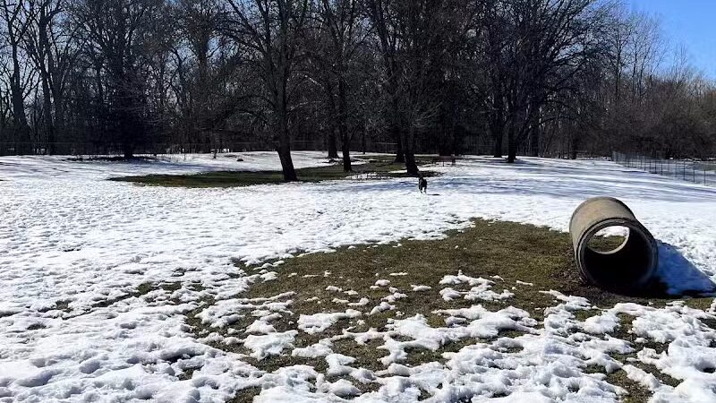 Midland Dog Park - Midland, MI