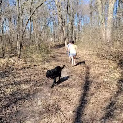 Midland Dog Park - Midland, MI