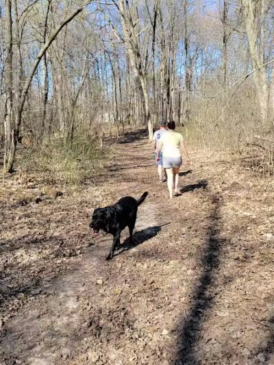 Midland Dog Park - Midland, MI