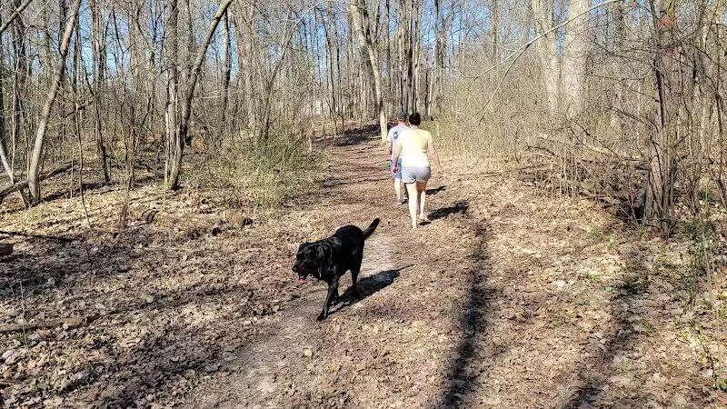 Midland Dog Park - Midland, MI