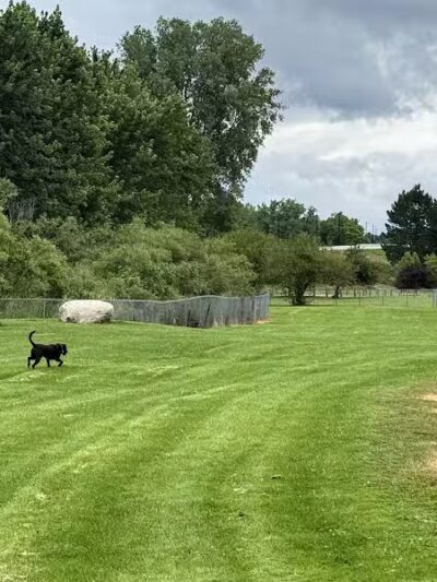 Midland Dog Park - Midland, MI