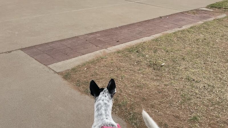 Hogan's Run Dog Park - Midland, TX