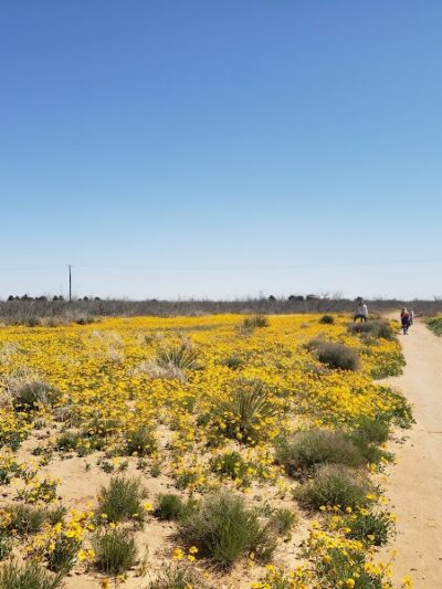 Hogan's Run Dog Park - Midland, TX
