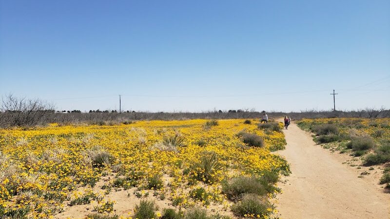 Hogan's Run Dog Park - Midland, TX