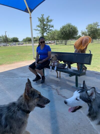 Hogan's Run Dog Park - Midland, TX
