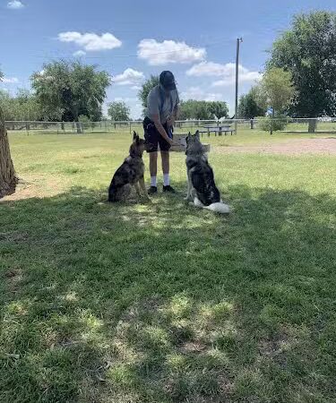 Hogan's Run Dog Park - Midland, TX