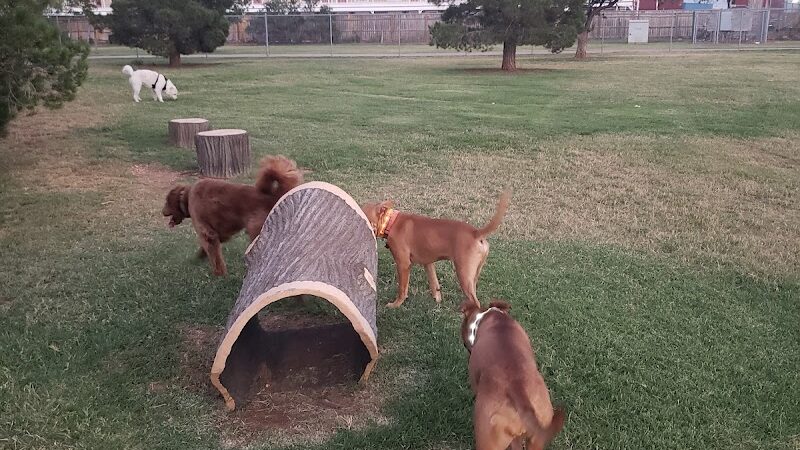 Waggin’ Trail Beal Dog Park - Midland, TX