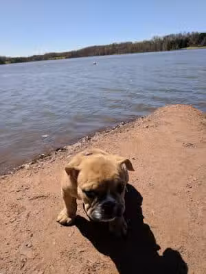 C. M. Crockett Park - Midland, VA