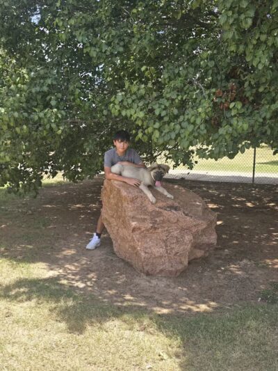 Waggin’ Trail Beal Dog Park - Midland, TX