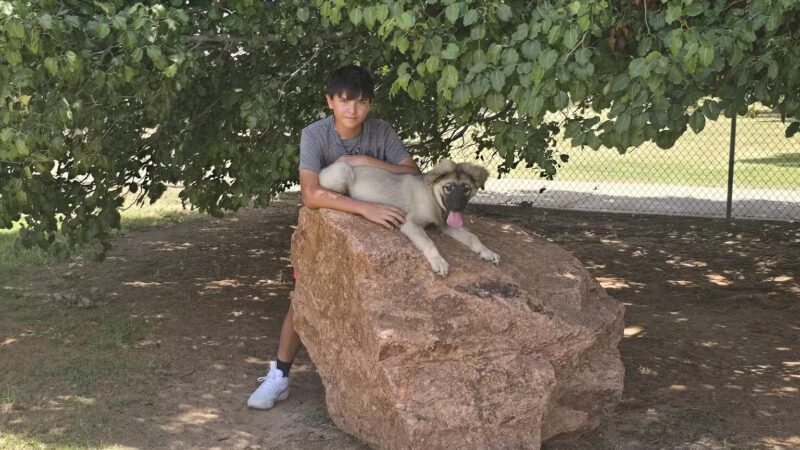 Waggin’ Trail Beal Dog Park - Midland, TX