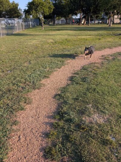 Midlothian Dog Park - Midlothian, TX