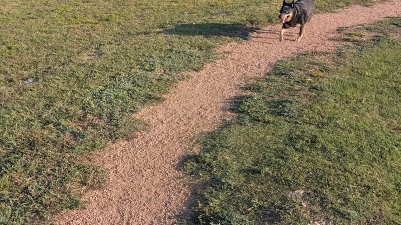 Midlothian Dog Park - Midlothian, TX