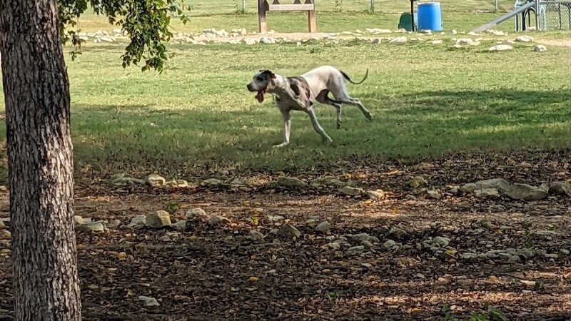Midlothian Dog Park - Midlothian, TX