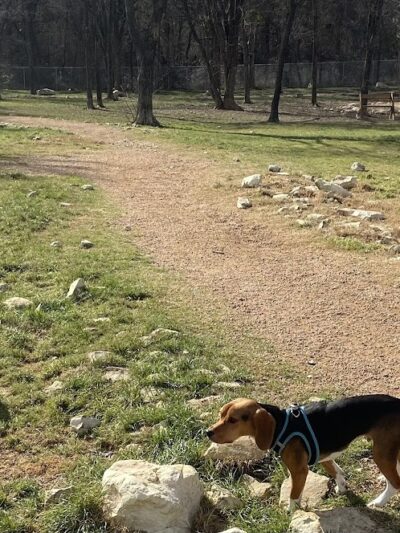 Midlothian Dog Park - Midlothian, TX