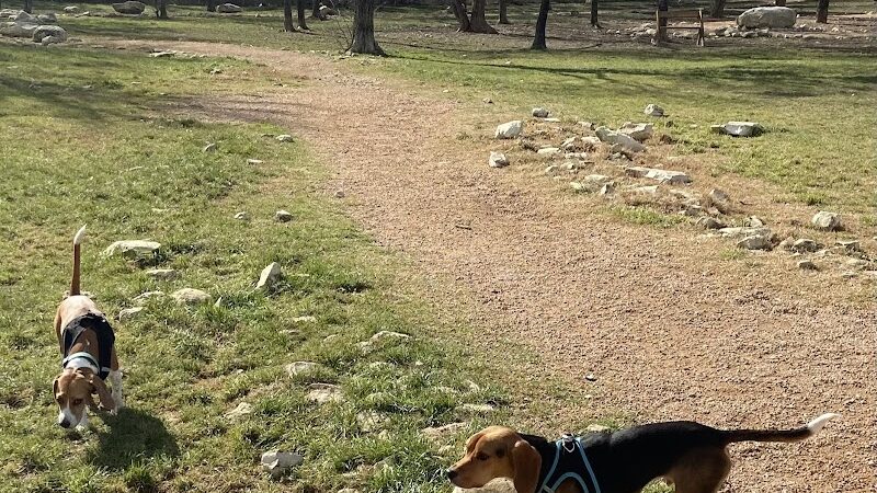 Midlothian Dog Park - Midlothian, TX
