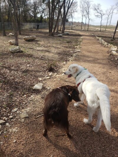 Midlothian Dog Park - Midlothian, TX