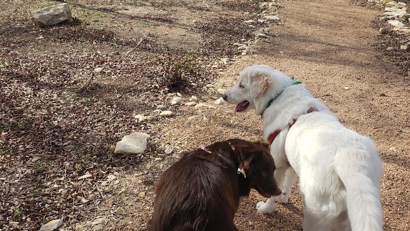 Midlothian Dog Park - Midlothian, TX