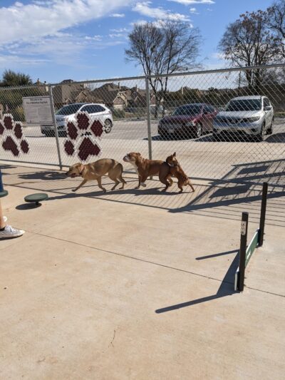 Midlothian Dog Park - Midlothian, TX