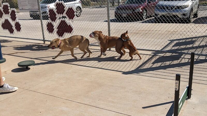 Midlothian Dog Park - Midlothian, TX