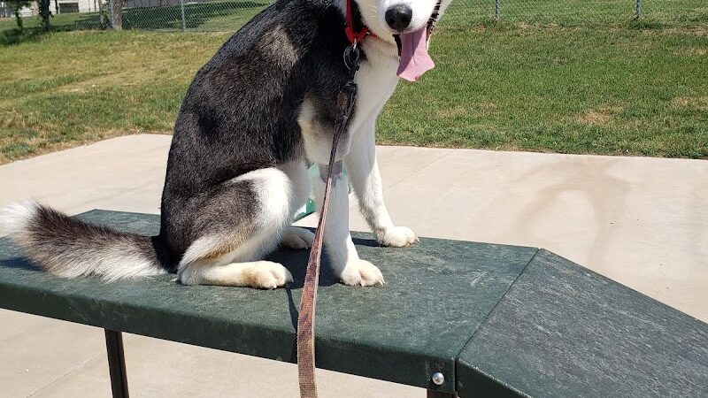 Midlothian Dog Park - Midlothian, TX