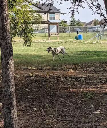 Midlothian Dog Park - Midlothian, TX