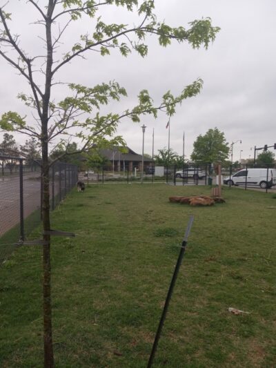 MWC Welcome Center Dog Park - Midwest City, OK