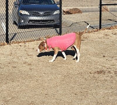 MWC Welcome Center Dog Park - Midwest City, OK