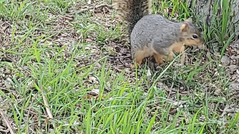 Palmer Loop - North Trailhead - Midwest City, OK