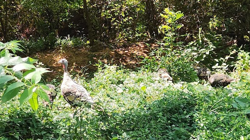 Palmer Loop - North Trailhead - Midwest City, OK