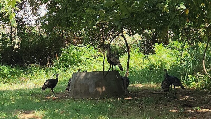 Palmer Loop - North Trailhead - Midwest City, OK